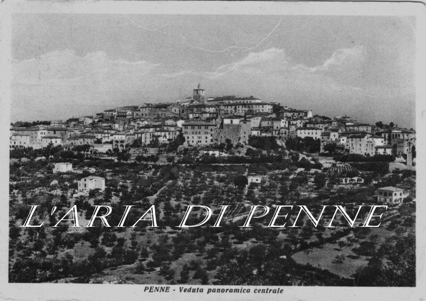 Panoramica - cartolina viaggiata 1955
