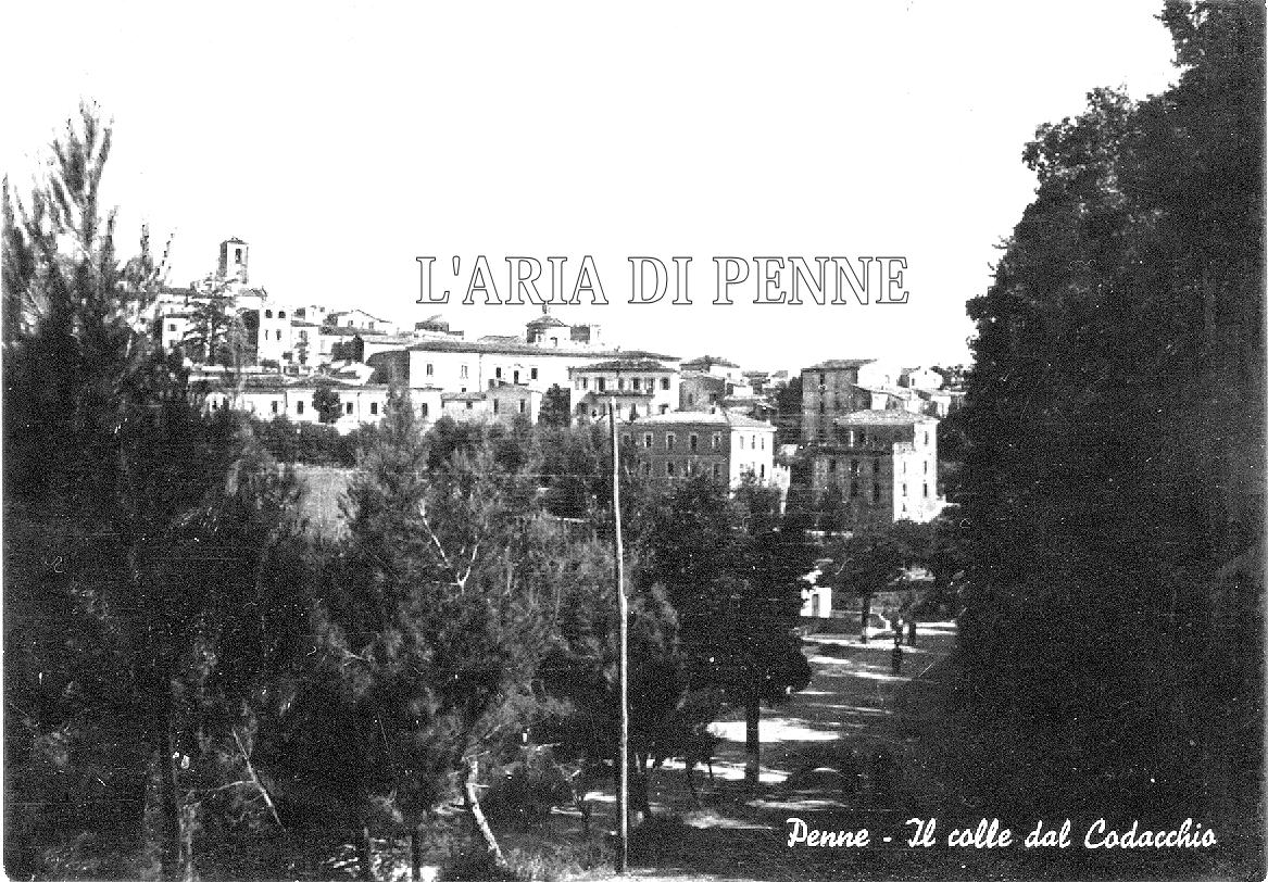 Vista dal Codacchio ~ Cartolina viaggiata 1952